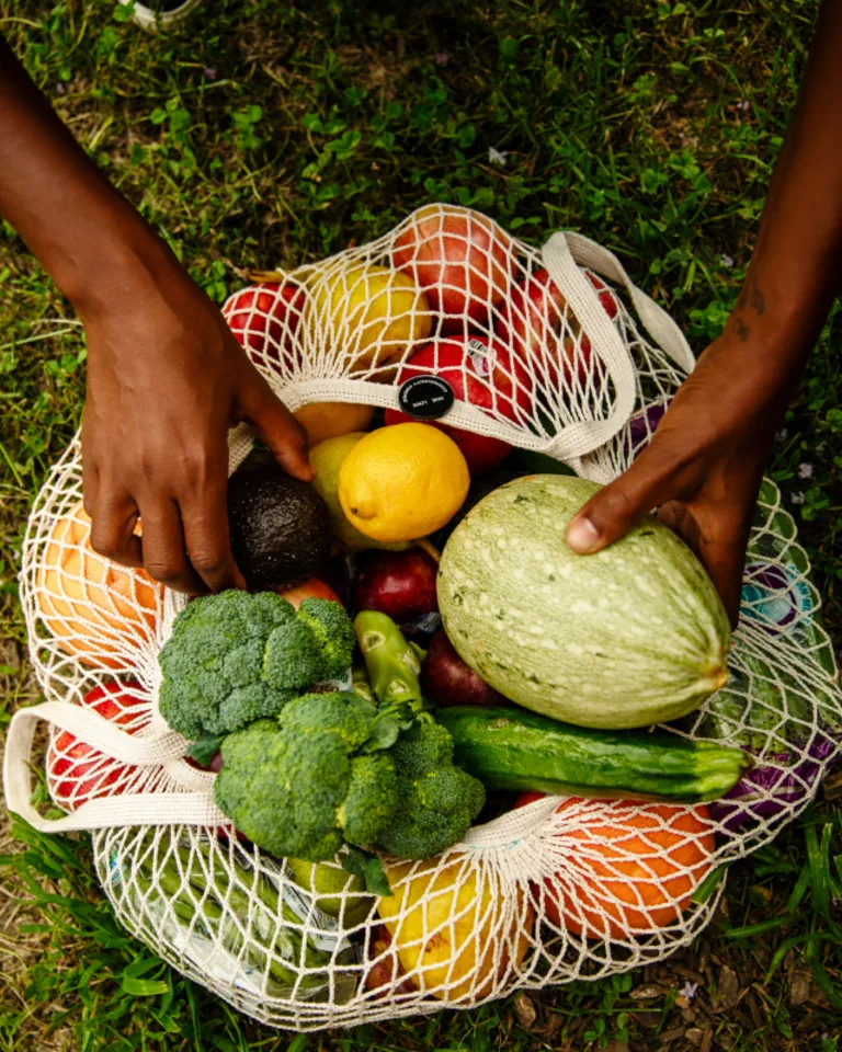 farm fresh fruits and vegetables in a bag