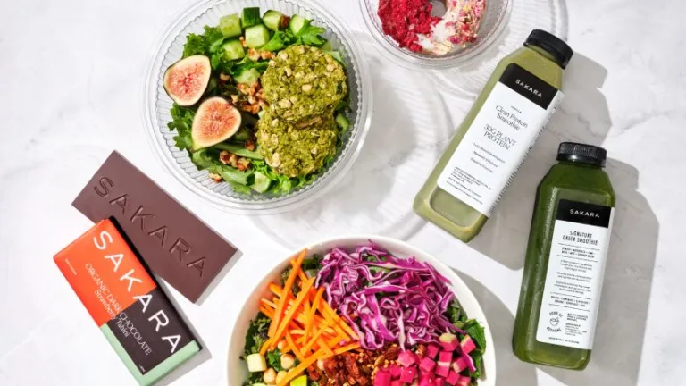 Sakara Life Signature Nutrition Program